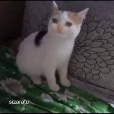 Sad music 😢😿😔