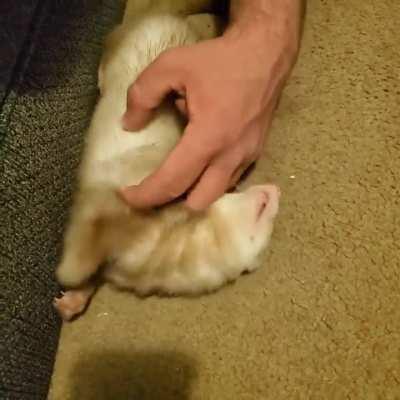 This is sunshine, he loves love