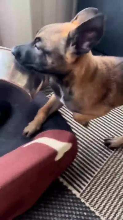 Almost little guy... Almost