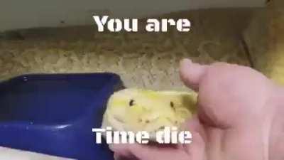 You are time die