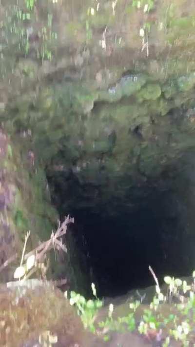 Found a death pit. So naturally…