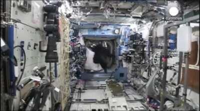 New Bigfoot sighting