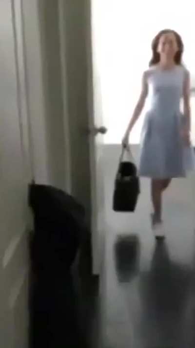 Mother Goose modeling V2 short