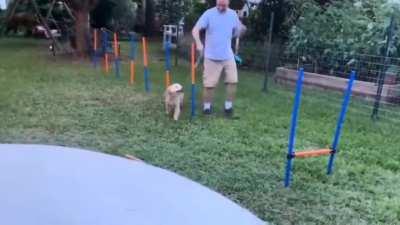 She is beauty.. She is Grac....