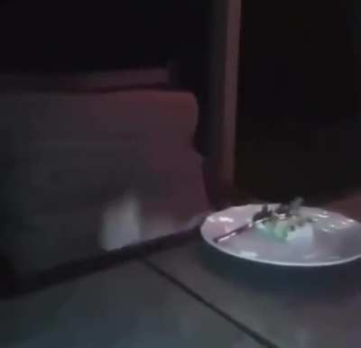 DMC fans watching the franchise turn into dust now that hideaki Itsuno has left 