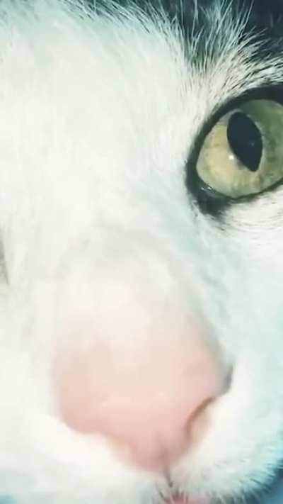 When you're trying to get the last pringle out of the can