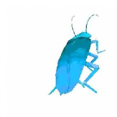 Thanks everyone for being my bröther