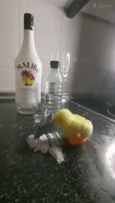 Best Toy to buy your children this diwali!!