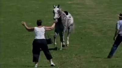 Guess What They Broke