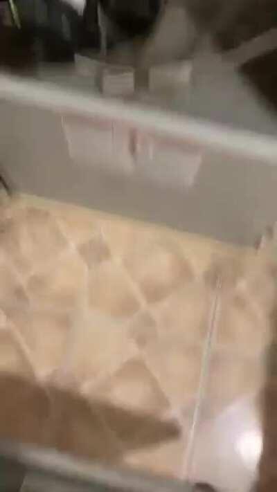 Blower (I think) keeps trying to kick on in between cycles. It does start and run heat cycles like normal, but constantly is doing this in between.