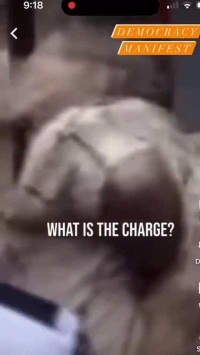 Blursed_Succulent_Chinese_Meal