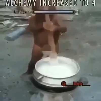 Pobre peruanito ya no podrá reproducirse