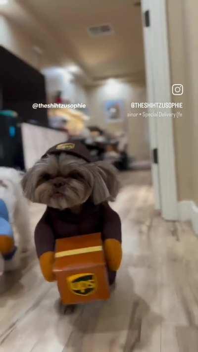 YOU get a package!, you get a package...everyone gets a package 