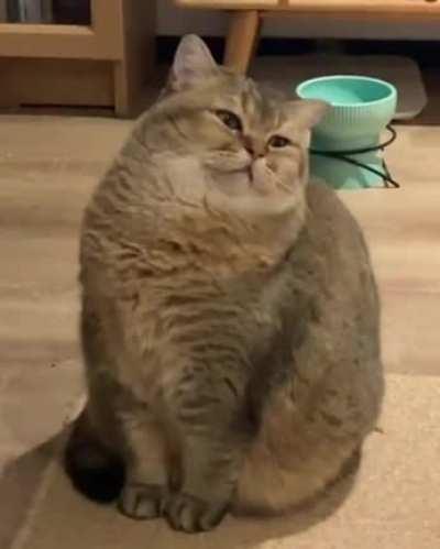 Trying to stay awake in class