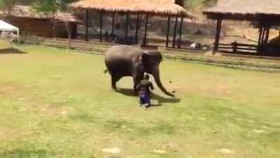 How dare you touch him !