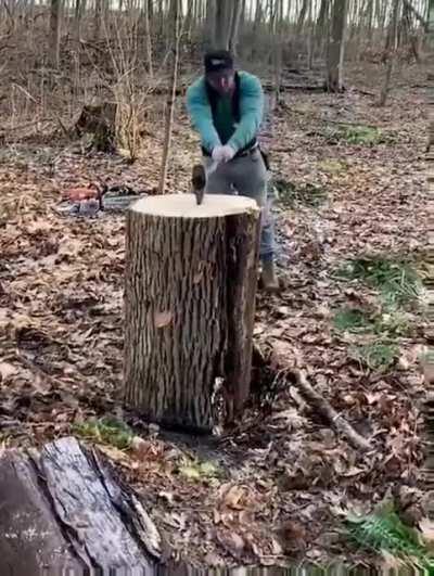 Impressive strength indeed