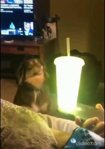 He’s seen the light