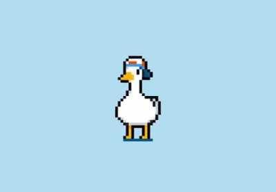 8 Bit Duck