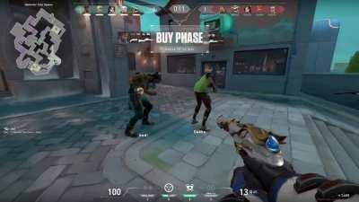 is this what harbor and gekko been training on?