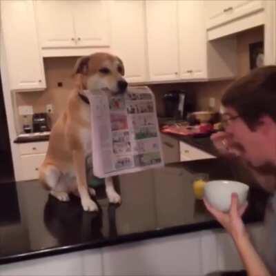 SiCk fUcK useS DoG AS sLAVe LaBOuR