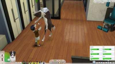 [Sims 4] How dogs hug IRL