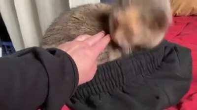 My friend said I should post this here