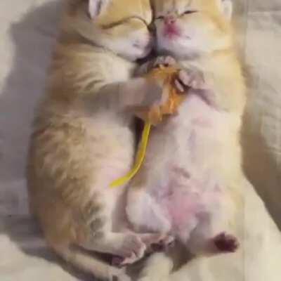 Tiny orange feet twitches