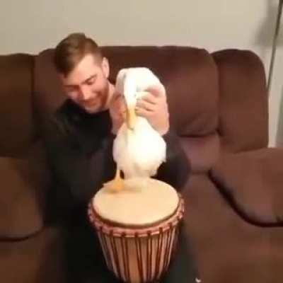 I’m just listening to his best over and over. Gonna sample it and put some lyrics to it lul