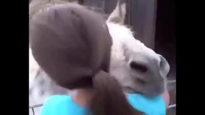 Donkey meets the girl who raised him