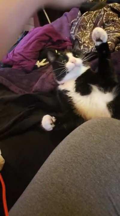 Idk what his goal here is