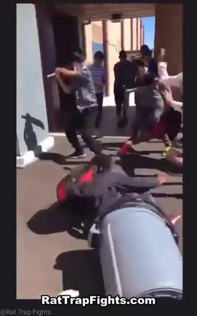 By using the power of cricket 🙌🤝🏽🤝🔥