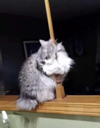 I present this pole dance