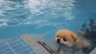 Swimming lessons.
