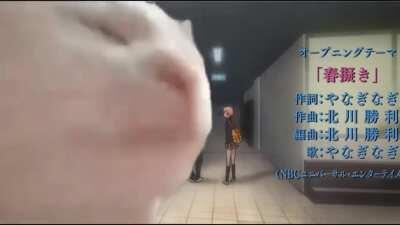 Everyone listening to OP2: