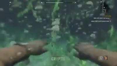 A throwback to old memes