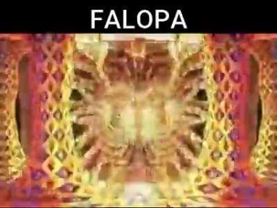 FALOPA