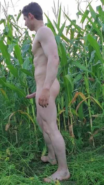 Let me give you that full country experience