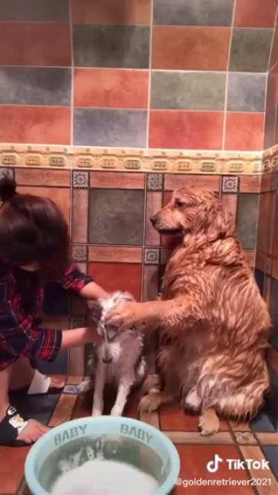 When your friend doesn't want to bathe 😅🤣🙃