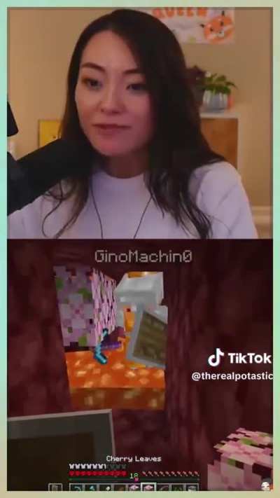 Panda 🐼 Serious Gaming 😆😆