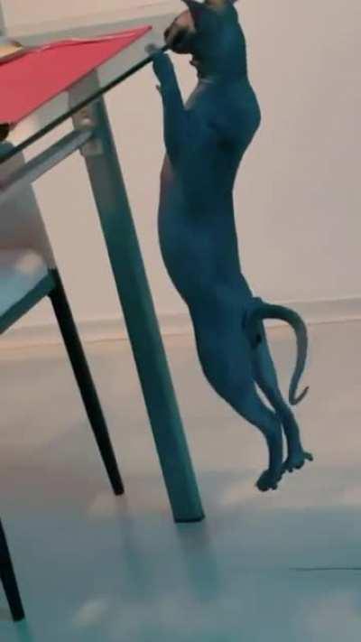 Let me see what we have for dinner