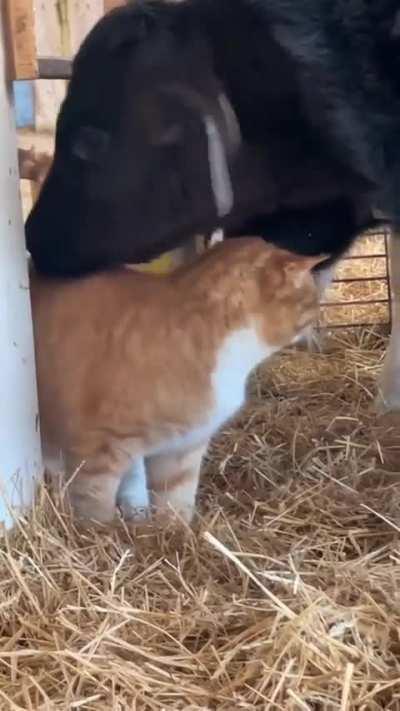 That’s new behavior