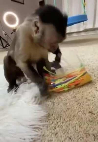 Better at opening packages than I am