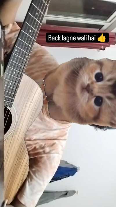 Here's some Local Train