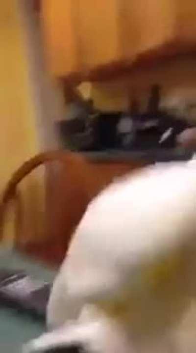 When you see your crush