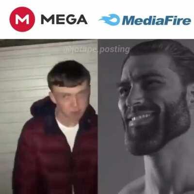 lo siento pero no tengo memes de los miniones :(