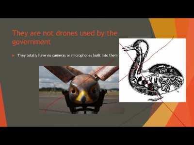 Nobody forced me to make this video haha