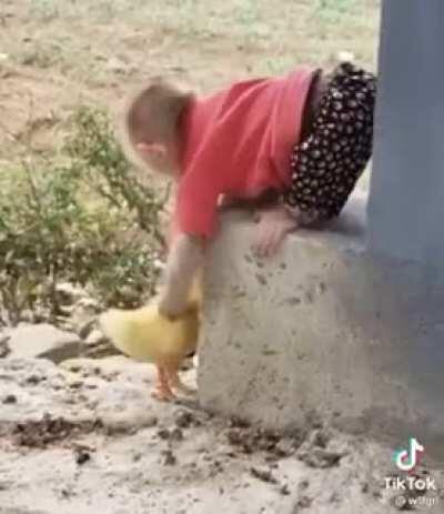 I cried. Not a meme but I thought it was cute