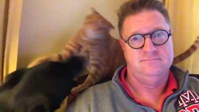 All I wanna do is watch the News...