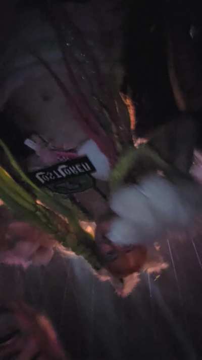 I miss Lost Lands & dancing under the lasers with my tits out