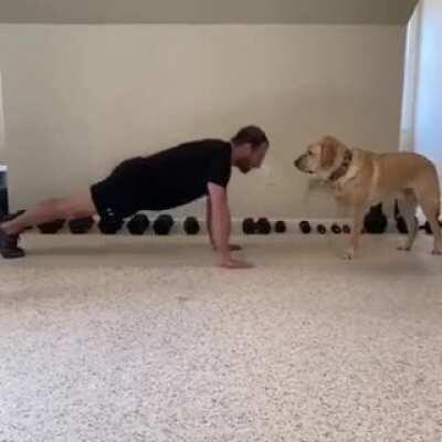 Rocky Had Mickey, This Guy Has His Best Friend